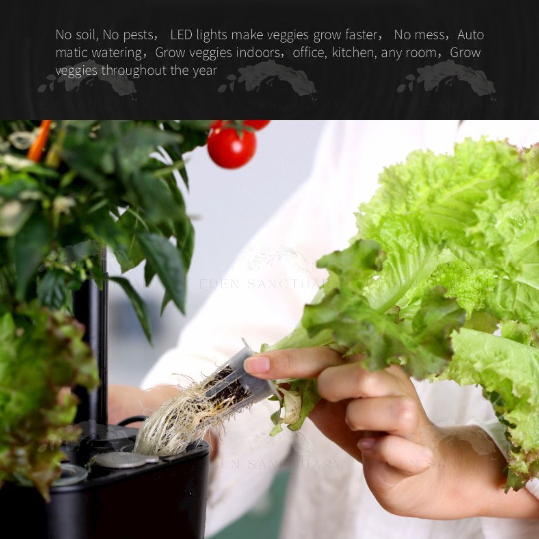 UrbanHarvest 4-Pod Smart Hydroponics Kit