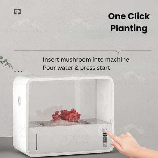Eden ShroomPod™ – Smart Mushroom Growing Chamber