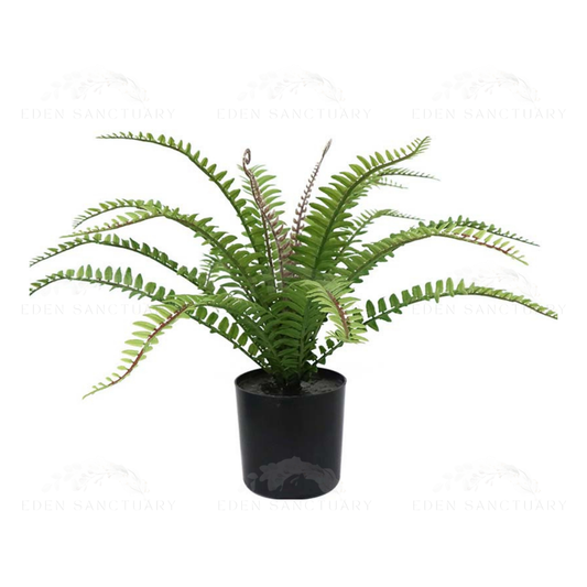Leaf Fern Plant (S)