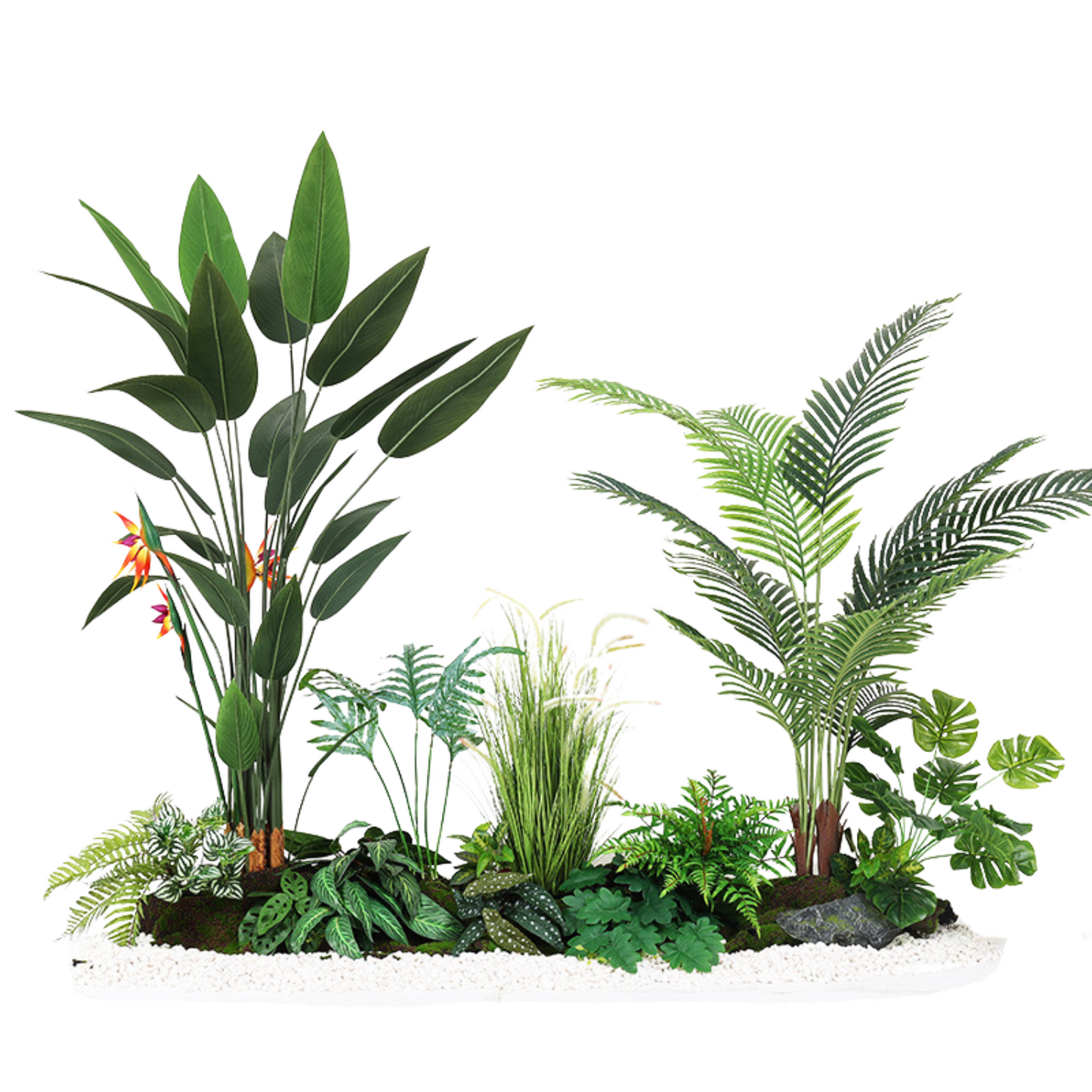Bird Paradise & Areca Palm Set -  2.0m (L) X 1.8m (H)  X 1.0m (W)