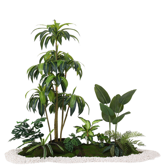 Brazilwood & Traveler's Banana Set - 1.5m (L)X 1.8m (H)  X 1.0m (W)