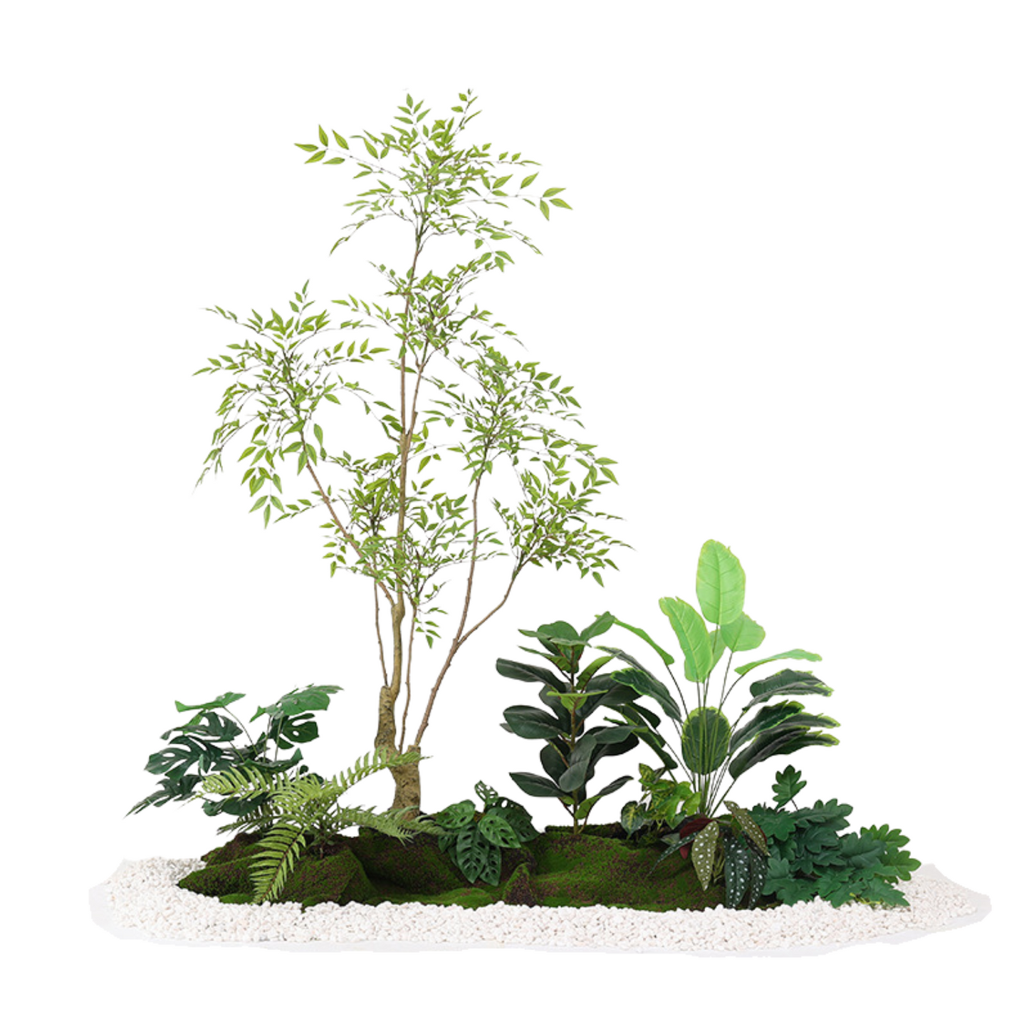 Nandina Tree & Traveller's Palm Set - 1.5m (L) x 1.8m (H) x 1.0m (W)