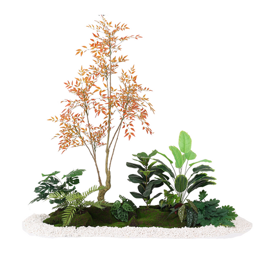 Autumn Nandina Tree & Traveller's Palm Set - 1.5m (L) x 1.8m (H) x 1.0m (W)