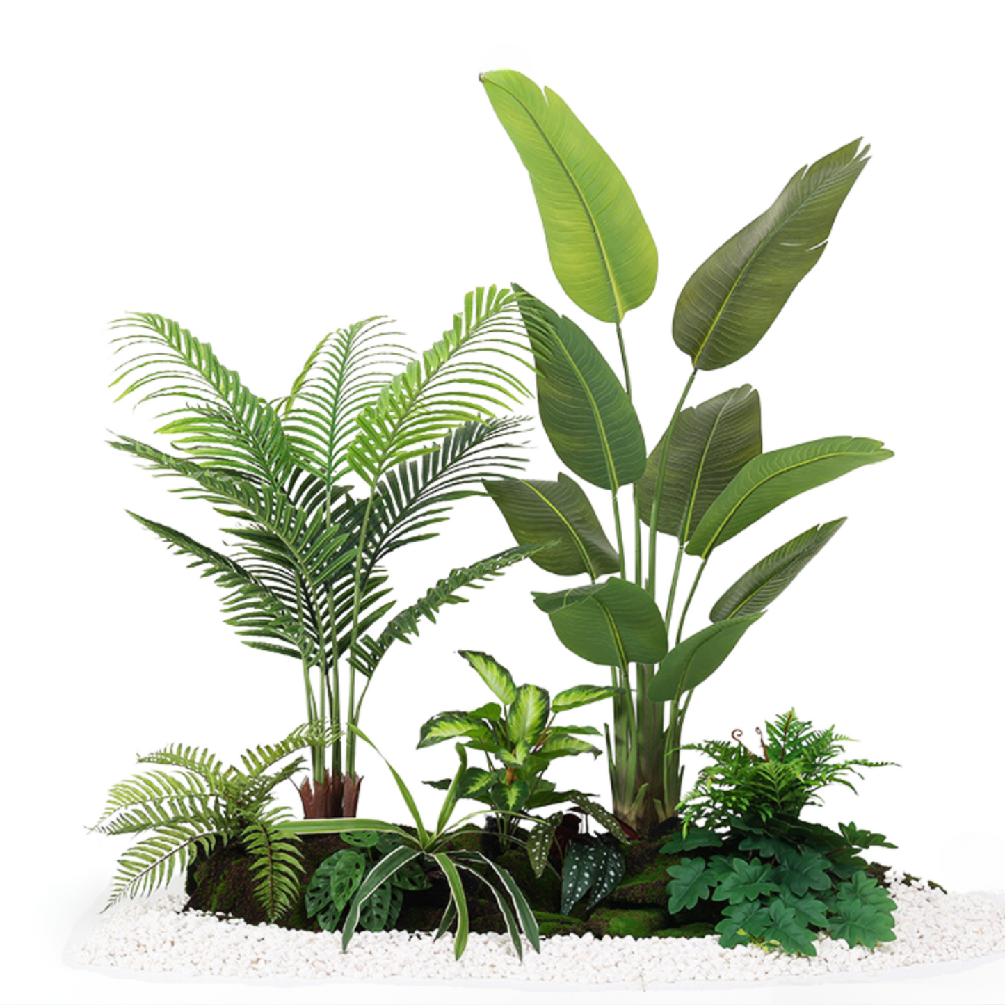 Traveler's Banana & Areca Palm Tree Set - 1.5m (L) X 1.8m (H) X 1.0m (W)