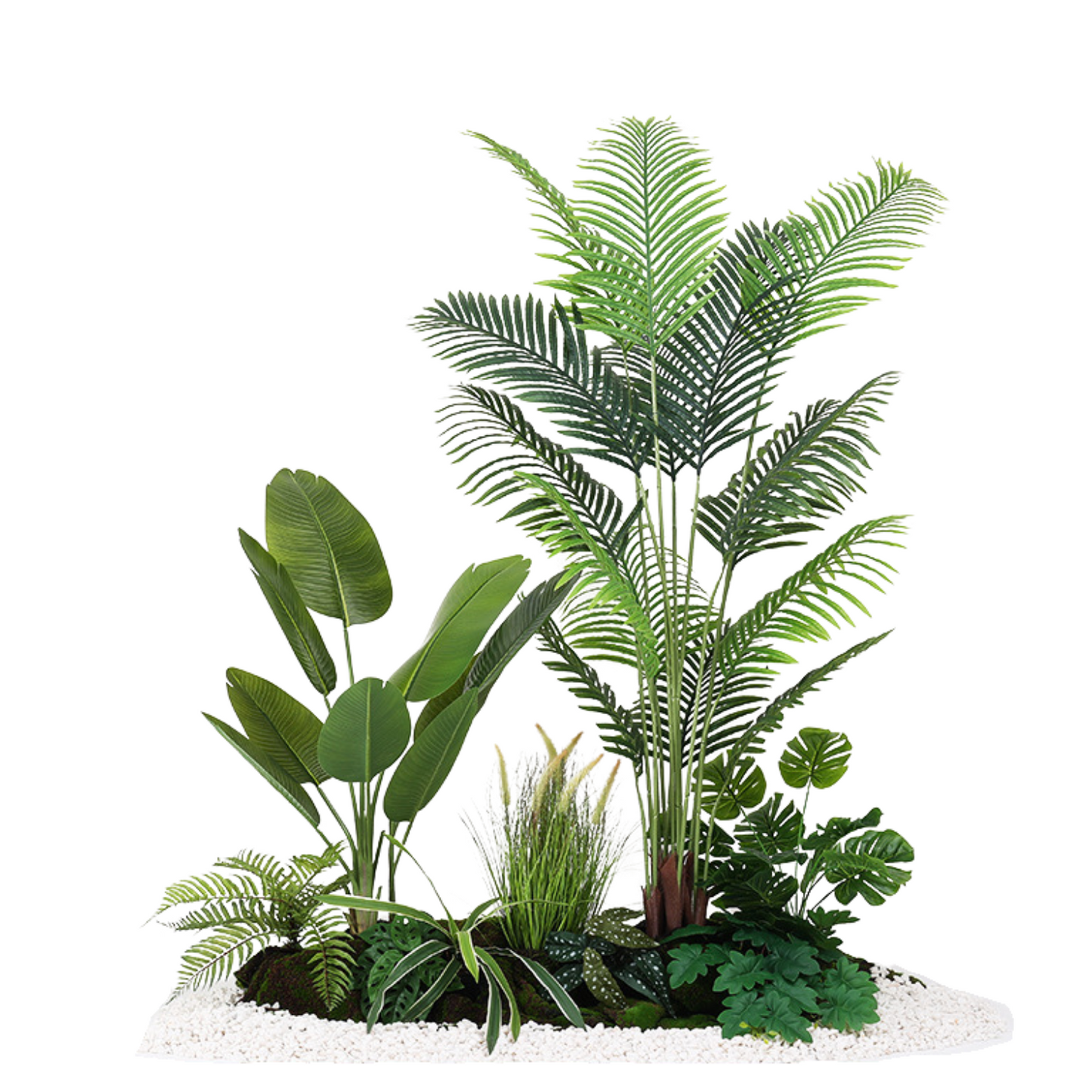 Traveler's Banana & Areca Palm Set B - 1.5m (L) X 1.8m (H) X 1.0m (W)