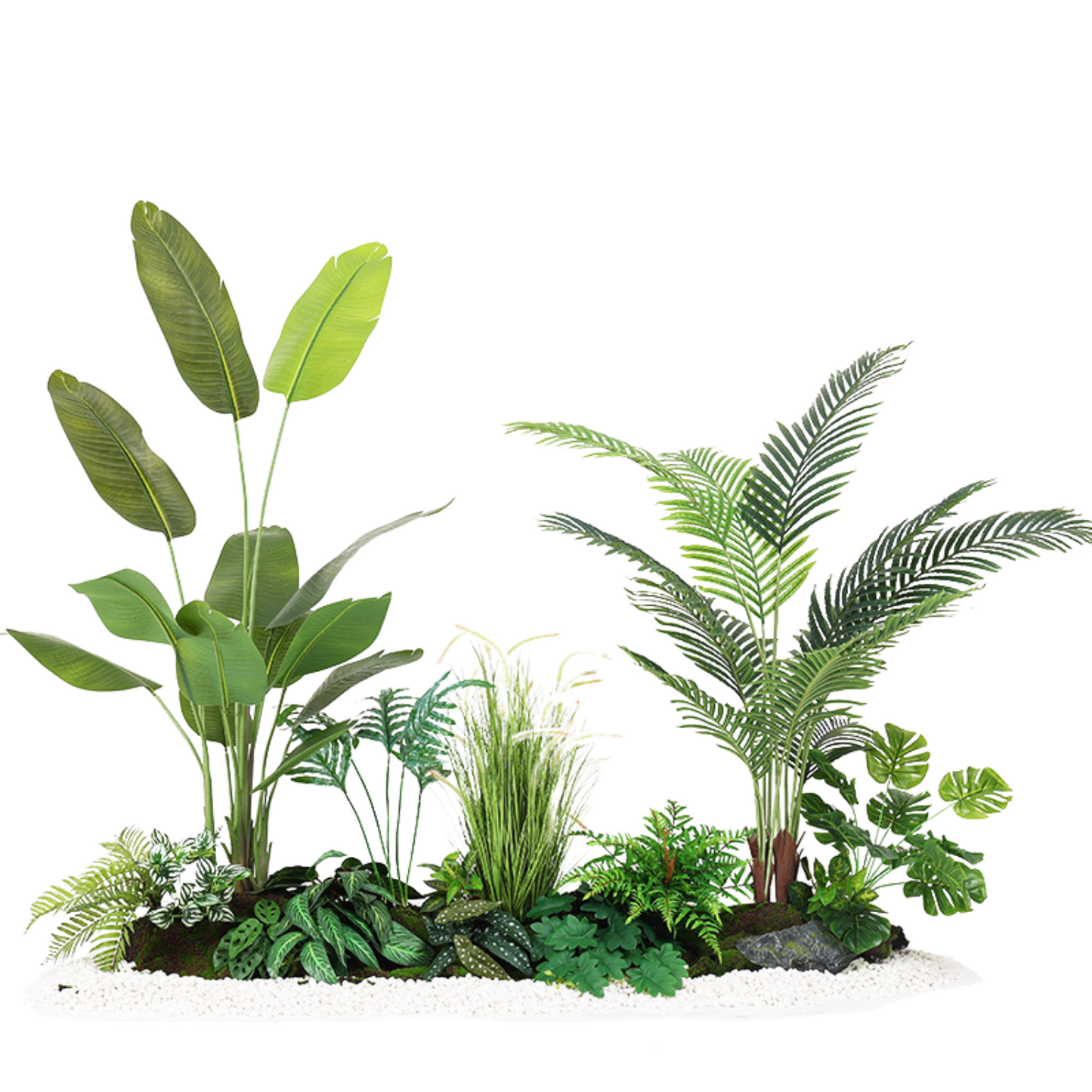 Traveler's Banana & Areca Palm Tree Set A - 2.0m (L) X1.8m (H) X1.0m (W)