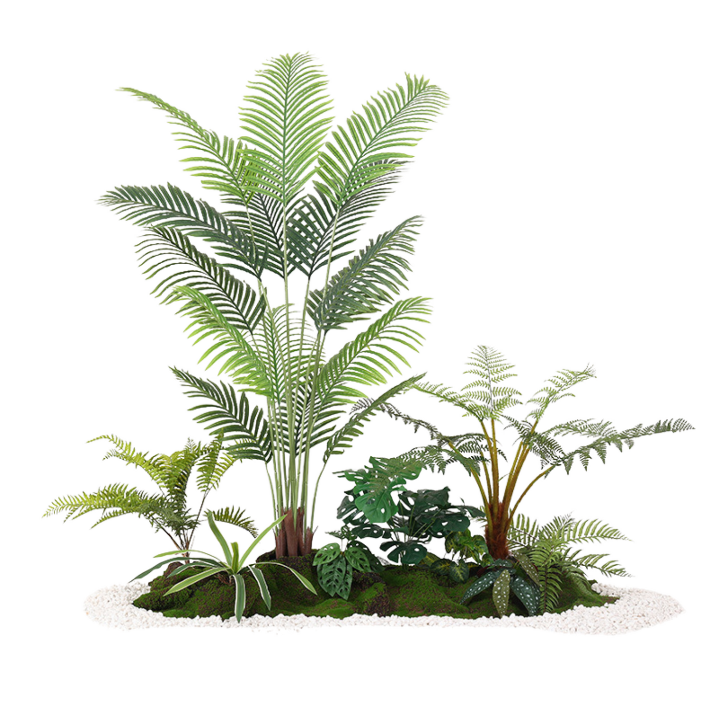 Traveler's Banana & Golden Fern Tree Set - 1.5m (L) X 1.8m (H) X 1.0m (W)