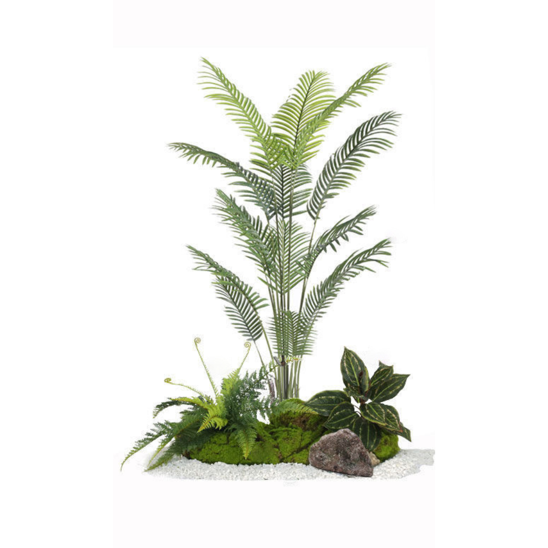 Areca Palm Set