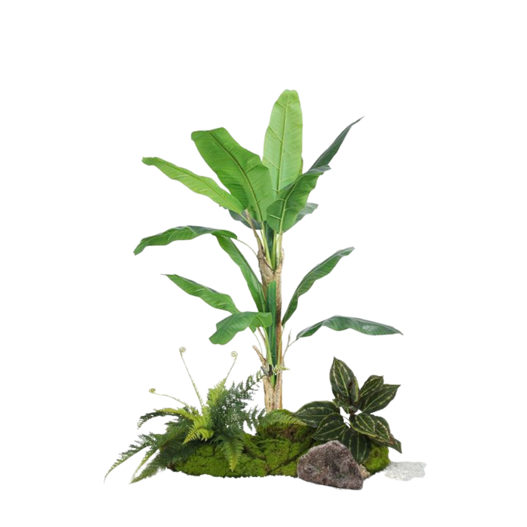 Banana Plant Set