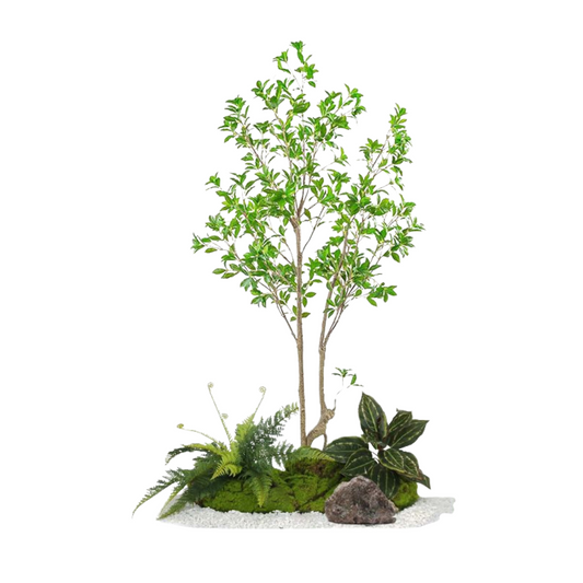 Japanese Andromeda Set