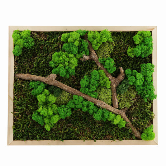 EdenMoss™ 50 – Preserved Moss Wall Panel (50x50cm)