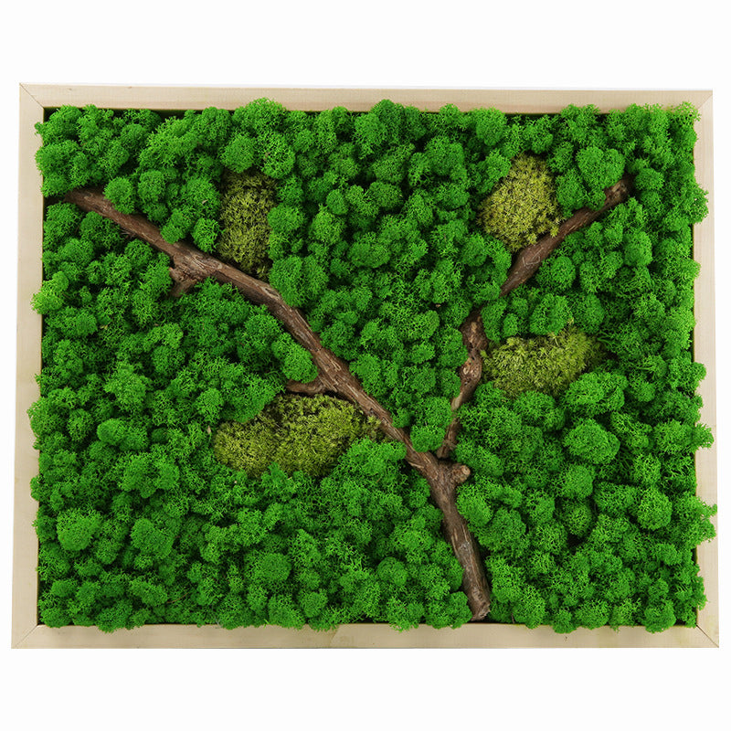 EdenMoss™ 50 – Preserved Moss Wall Panel (50x50cm)