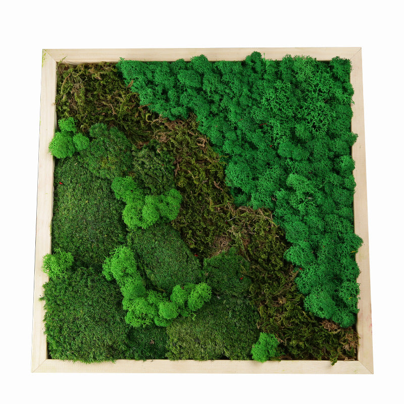 EdenMoss™ 50 – Preserved Moss Wall Panel (50x50cm)