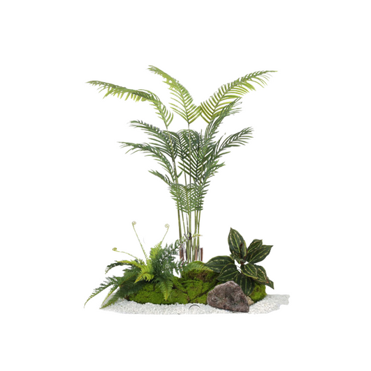 Areca Palm Set