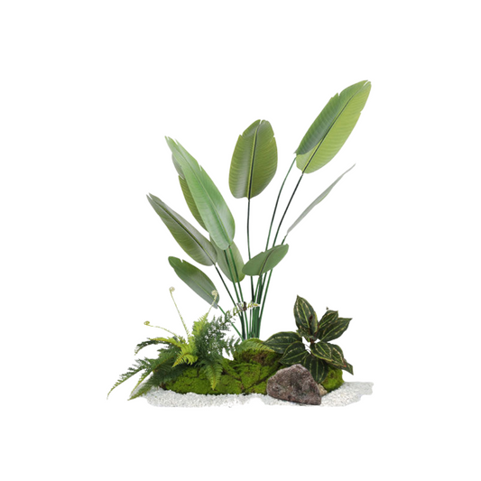 Traveller Palm's Set