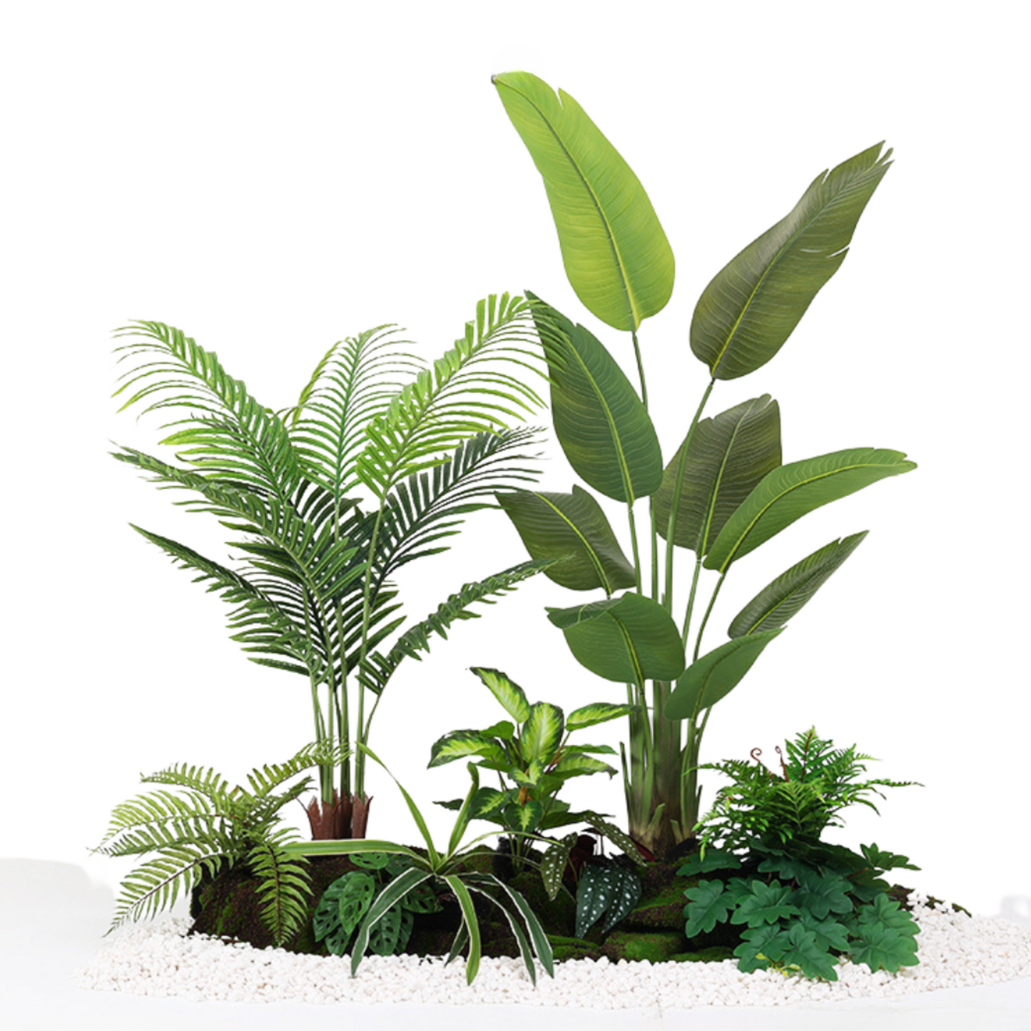 Traveler's Banana & Areca Palm Tree Set A - 1.5m (L) X 1.8m (H) X 1.0m (W)