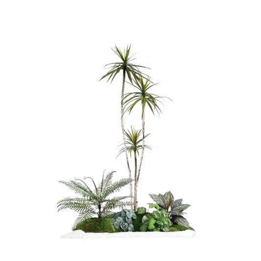 Agave Narrow Set