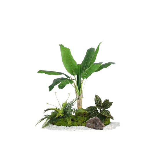 Banana Plant Set