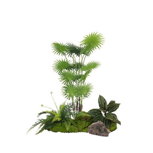 Fan Palm Set