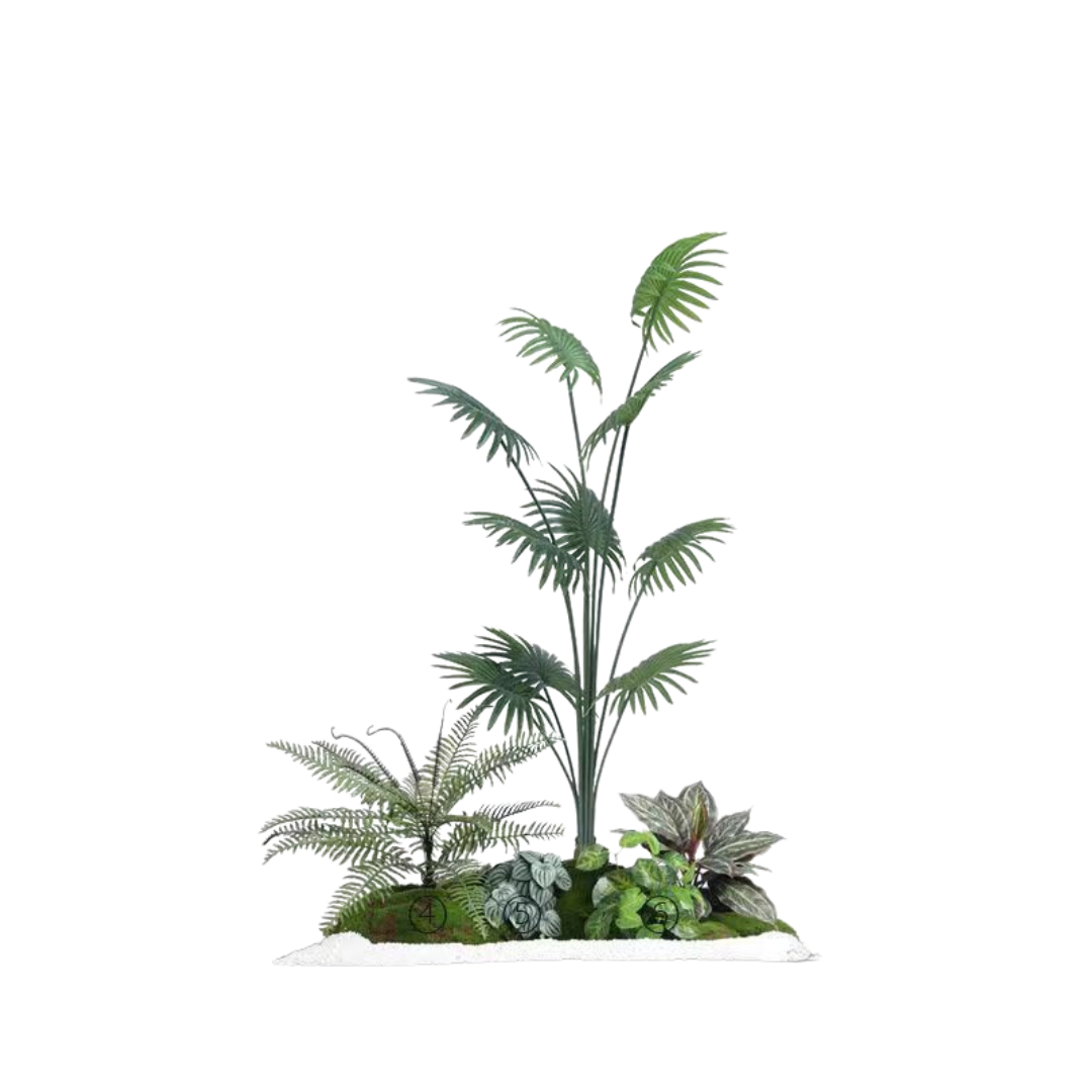 Fan Palm Set