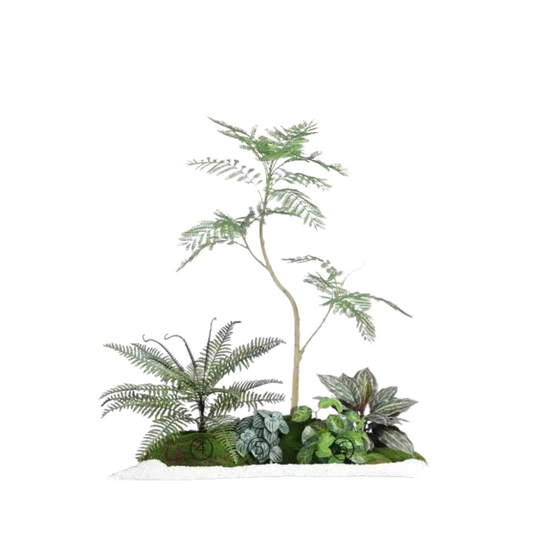 Jacaranda Set