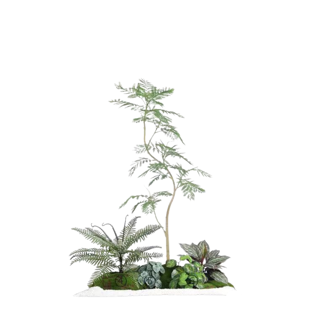 Jacaranda Set