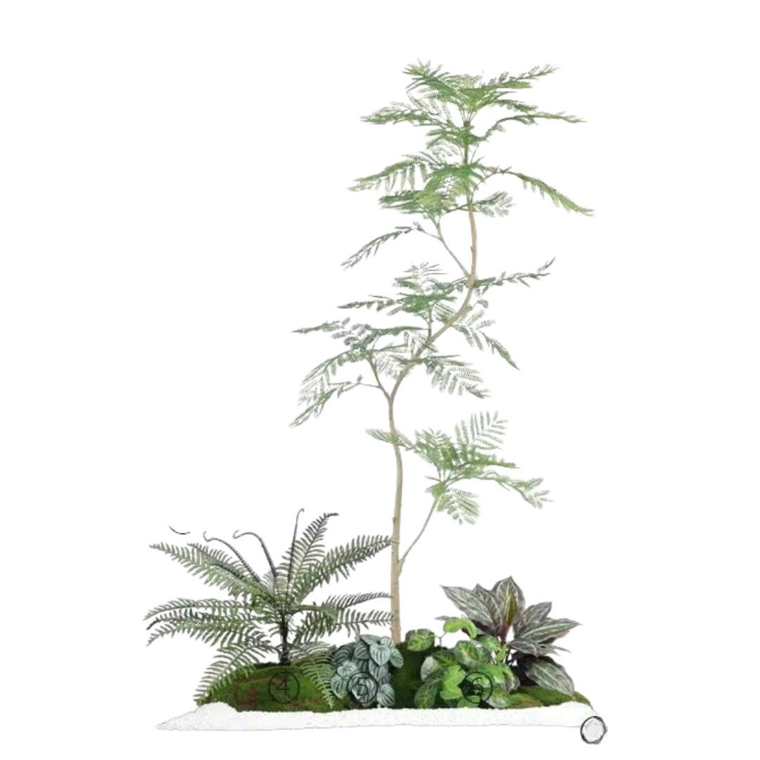Jacaranda Set
