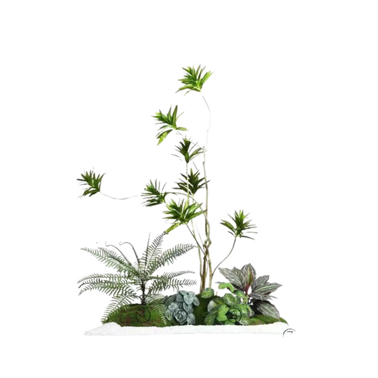 Lily Bamboo Set