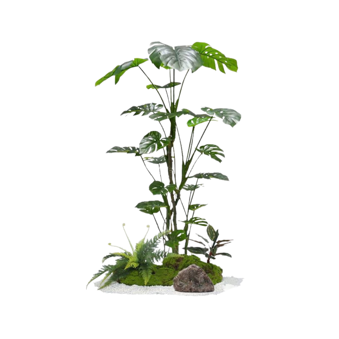 Monstera Set