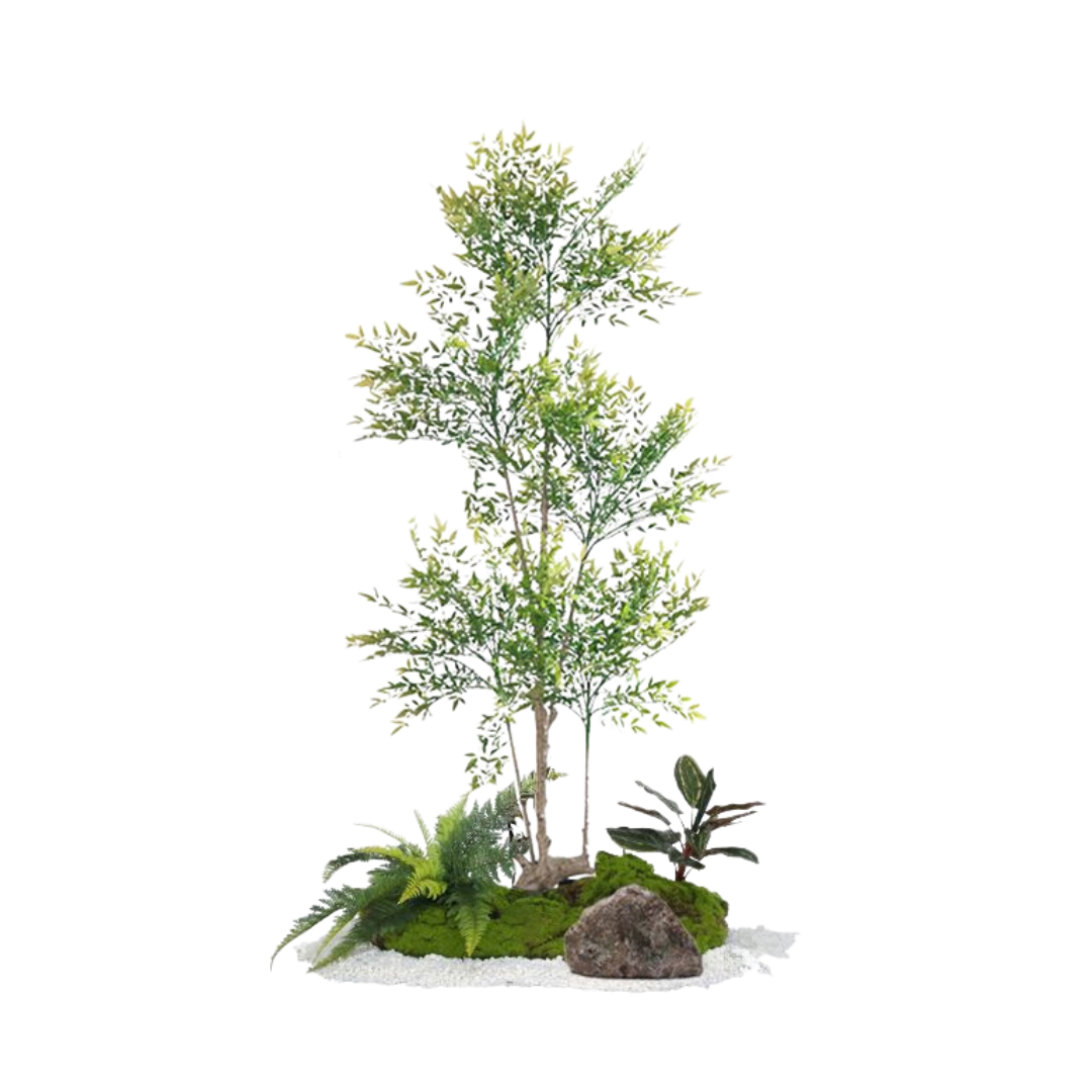 Nandina Set