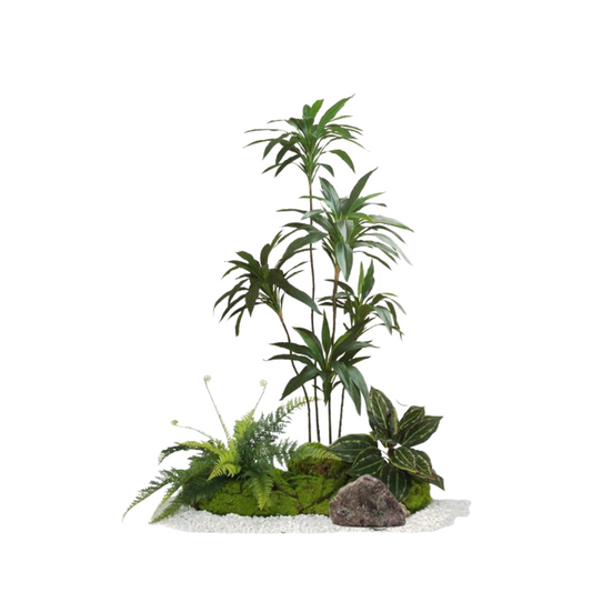 Velvet Plant Set